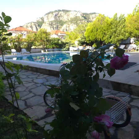 Angels Garden 5*