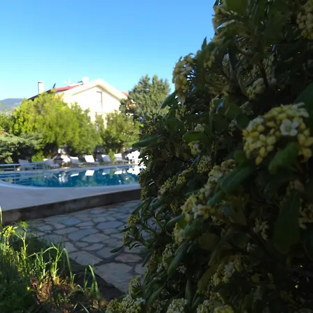 Hotel Angels Garden