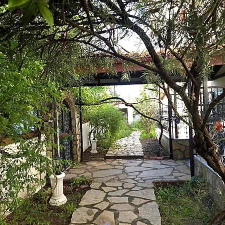 酒店 Angels Garden 达利安